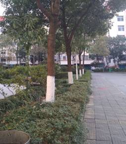说明: C:\Users\lenovo\Desktop\5cad876397ef1645ceac7900ac410dd.jpg